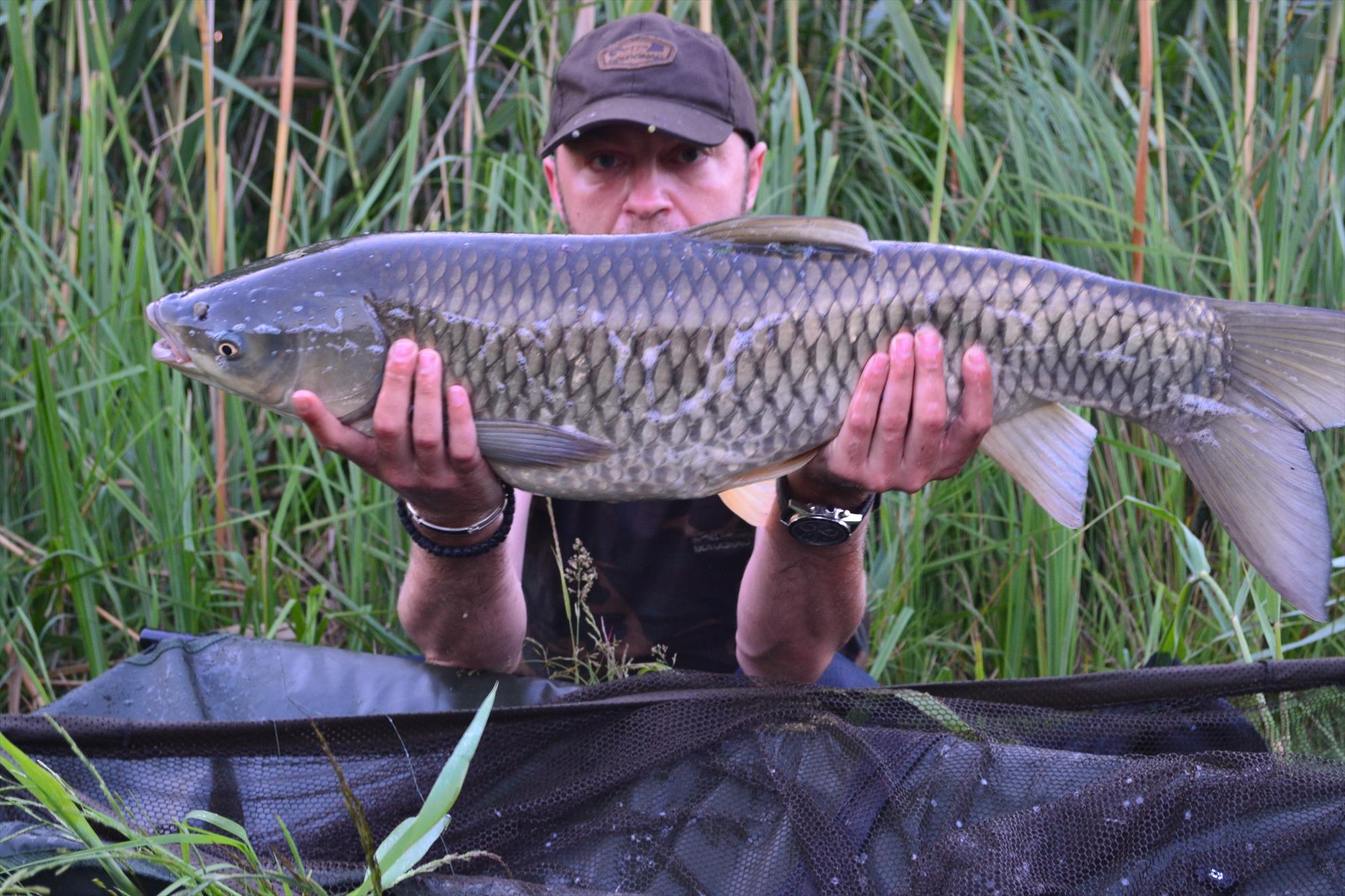 Pescuit Balta Lazar 6-8 iunie 2014 - dsc0008.JPG